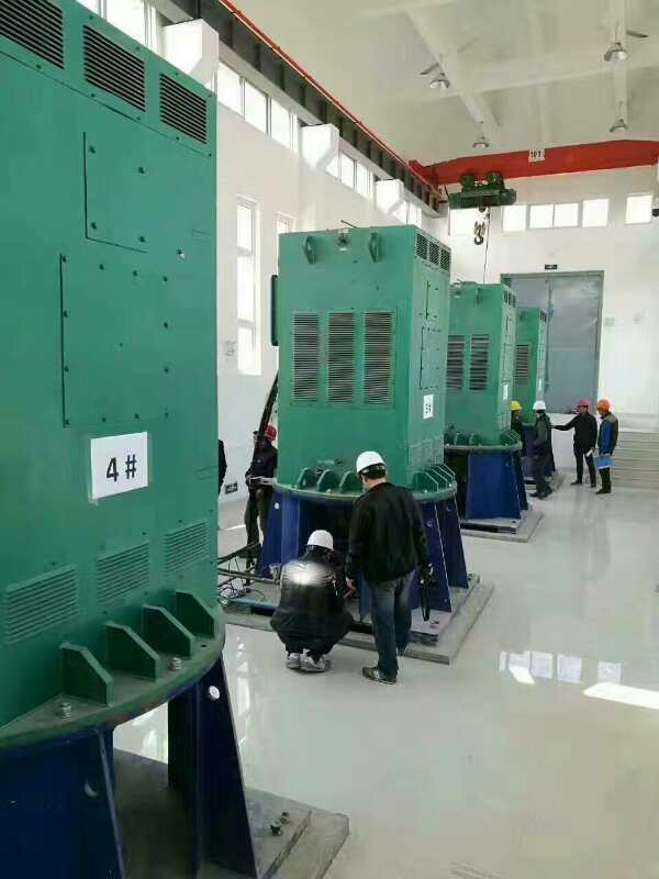 YR4502-4某污水处理厂使用我厂的立式高压电机安装现场