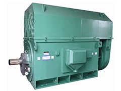 YR4502-4Y系列6KV高压电机