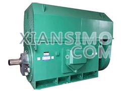 YR4502-4YXKK(2极)高效高压电机技术参数