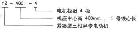 YR系列(H355-1000)高压YR4502-4三相异步电机西安西玛电机型号说明